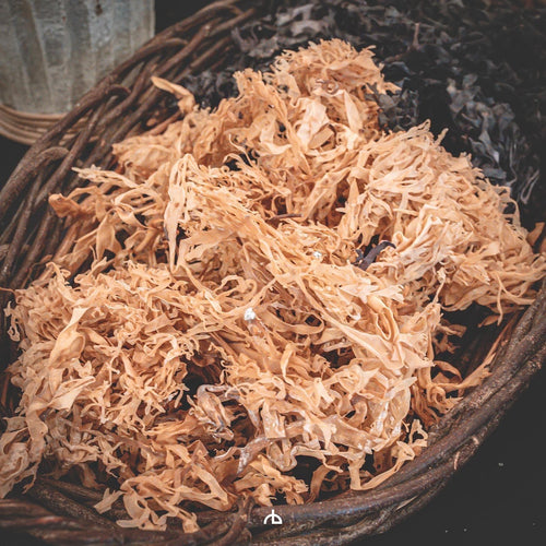 Dry seamoss